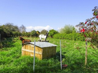 Vakantiehuis Plouezec Buitenaudio-opname 5