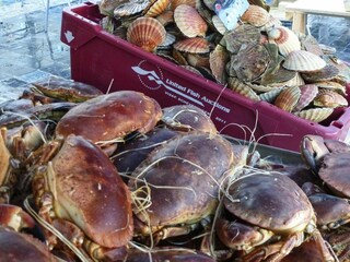 Casa per le vacanze Erquy Ambiente 15