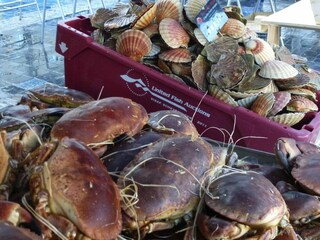 Vakantiehuis Pleumeur-Gautier Omgeving 30