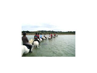 Maison de vacances Penvenan Environnement 12