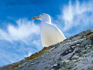 Holiday house Coëtmieux Environment 24