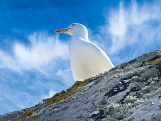 Casa per le vacanze Coëtmieux Ambiente 19