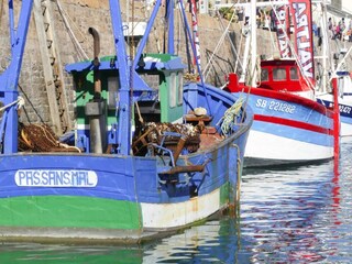Ferienhaus Pléneuf-Val-André Umgebung 15