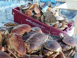 Holiday house Saint-Quay-Portrieux Environment 33