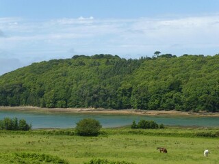 Casa de vacaciones Saint-Quay-Portrieux Entorno 24