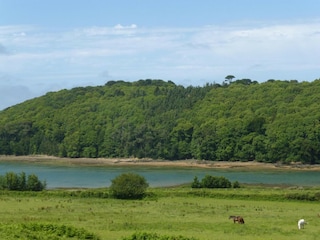 Ferienhaus Saint-Quay-Portrieux Umgebung 22