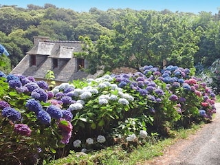 Vakantiehuis Penvenan Buitenaudio-opname 4