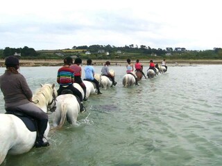 Ferienhaus Penvenan Umgebung 19