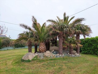 Vakantiehuis Cléder Buitenaudio-opname 7