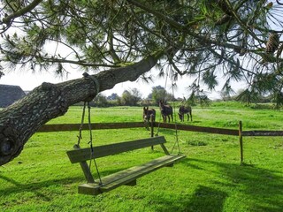 Casa de vacaciones Plougasnou Grabación al aire libre 6