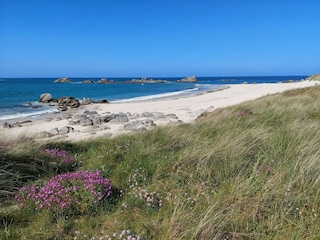 Vakantiehuis Plouescat Omgeving 30