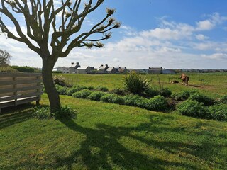 Holiday house Plouescat  29