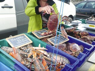 Ferienhaus Santec Umgebung 22