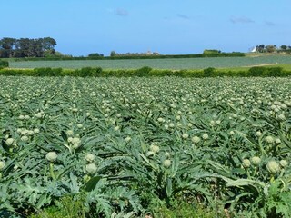 Holiday house Santec Environment 23