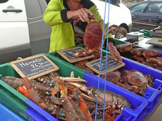 Vakantiehuis Cléder Omgeving 24