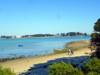Appartement Roscoff Omgeving 20