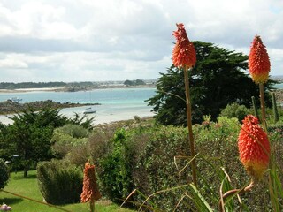 Apartamento Roscoff Entorno 26