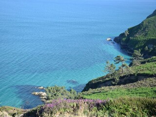 Holiday house Crozon Environment 25