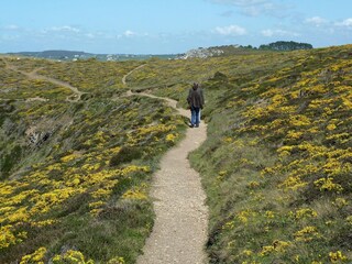 Vakantiehuis Crozon Omgeving 28
