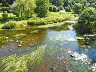 Vakantiehuis Landeleau Omgeving 23