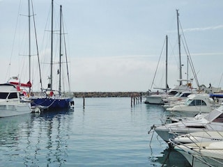 Vakantiehuis Saintes-Maries-de-la-Mer Omgeving 15