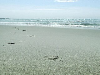 Casa per le vacanze Saintes-Maries-de-la-Mer Ambiente 20