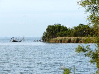 Vakantiehuis Saintes-Maries-de-la-Mer Omgeving 16