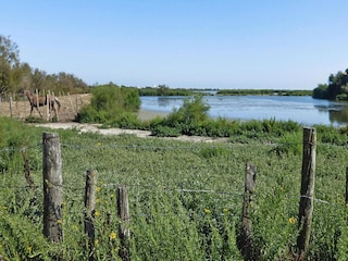 Holiday house Saintes-Maries-de-la-Mer Environment 19
