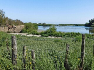 Vakantiehuis Saintes-Maries-de-la-Mer Omgeving 19