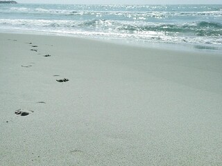 Maison de vacances Saintes-Maries-de-la-Mer  22