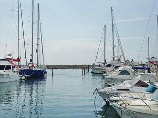Vakantiehuis Saintes-Maries-de-la-Mer Omgeving 20