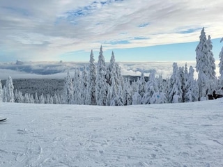 Ferienhaus Měděnec Umgebung 30