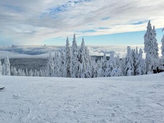 Ferienhaus Měděnec Umgebung 34