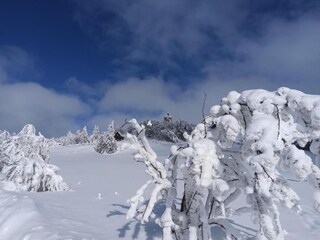 Casa per le vacanze Měděnec Ambiente 31