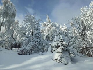 Maison de vacances Měděnec Environnement 37