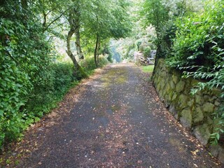 Ferienhaus Měděnec Umgebung 32