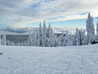 Vakantiehuis Měděnec Omgeving 36