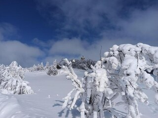 Vakantiehuis Měděnec Omgeving 37