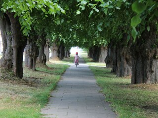 Bungalow Neubukow Ambiente 38