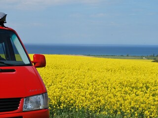 Bungalow Neubukow Umgebung 39