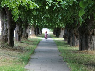 Bungalow Neubukow Ambiente 36