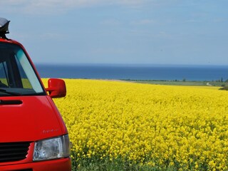 Bungalow Neubukow Environnement 35