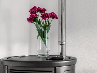 Ferienhaus Nehren an der Mosel  39