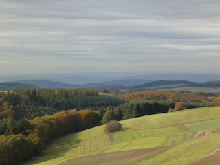 Ferienhaus Kleinich Umgebung 28