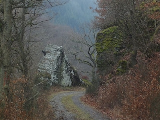Ferienhaus Kleinich Umgebung 14