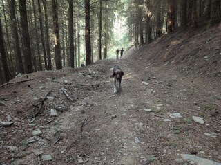 Casa de vacaciones Kleinich Entorno 28