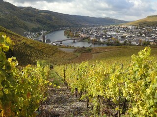 Ferienhaus Kleinich Umgebung 36