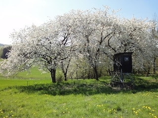 Ferienhaus Kleinich Umgebung 26