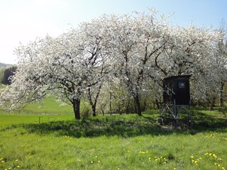 Vakantiehuis Kleinich Omgeving 19