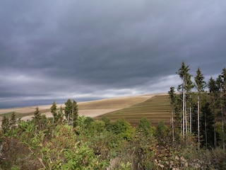 Ferienhaus Kleinich Umgebung 23